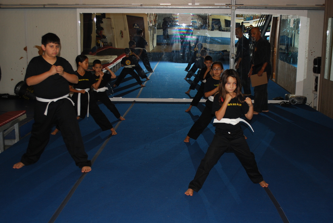 TB272 Arts martiaux Philippins ACH OCC-Cadran Liner Kit Noir 